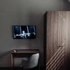 Отель Nesvit Hotel. Стандарт двухместный  3